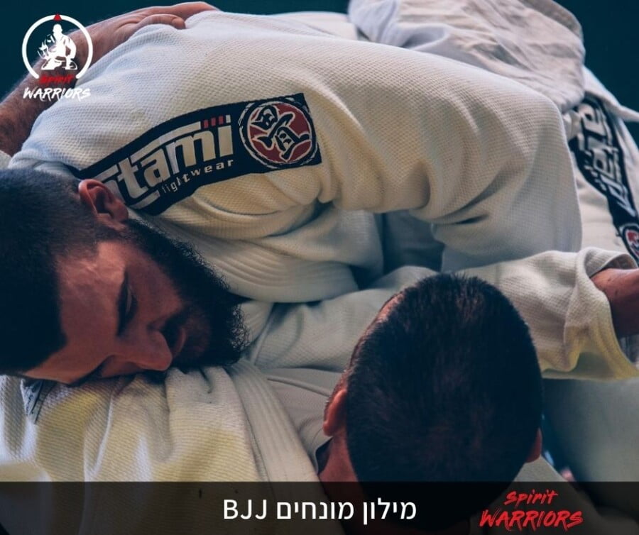 מילון מונחים BJJ